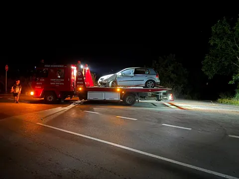 Road Assistance превозва: леки коли, 2/11